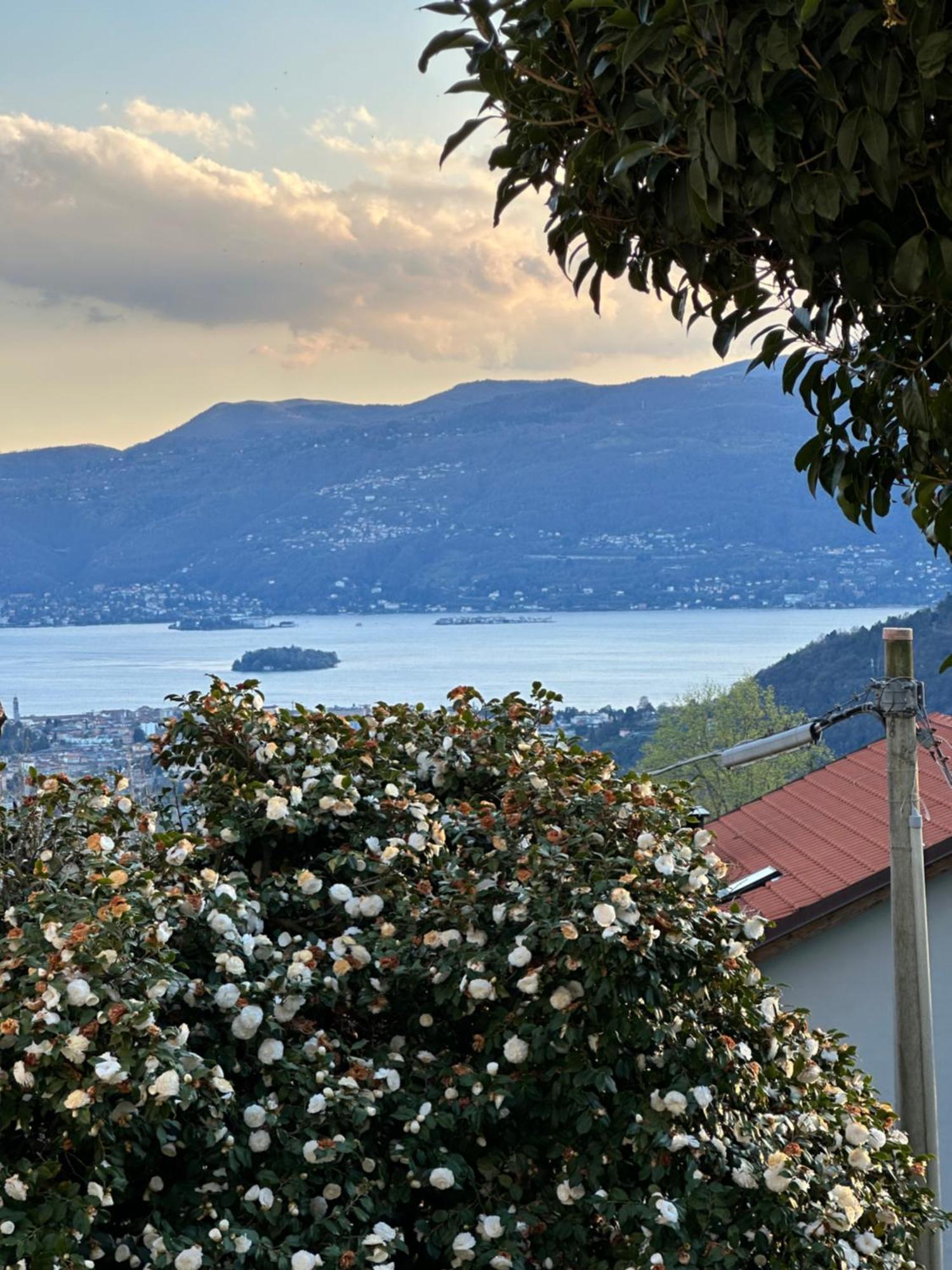 Villa Simonetta Bee Экстерьер фото